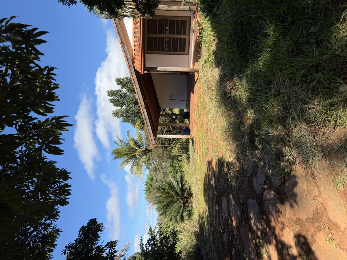 the house